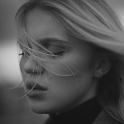 Исполнитель: Алиса