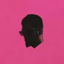 Исполнитель: Гошуля