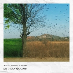 adm-t & Tember Blanche - метаморфосінь