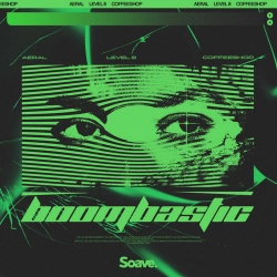 AERAL & Level 8 & Coffeeshop & Virtus - Boombastic