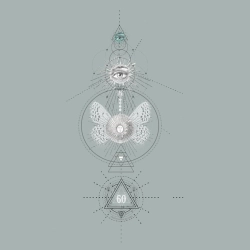 ANuT & MoM & Rapossa - Madera - Rapossa Remix