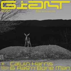 Calvin Harris & Rag'n'Bone Man - Giant (with Rag'n'Bone Man)