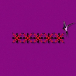 Chico & Qatoshi - Ластівки