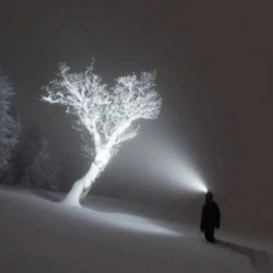 Crystalline - I'm God - Best Part Looped