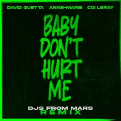 David Guetta & Anne-Marie & DJs From Mars & Coi Leray - Baby Don't Hurt Me (feat Coi Leray) - DJs From Mars Remix