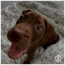 діти інженерів - Зло