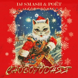 DJ SMASH & Poёt - СНОВОГОДНЯЯ