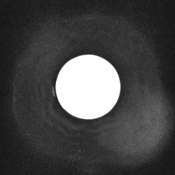 Granat Garden - Білий Безкрай