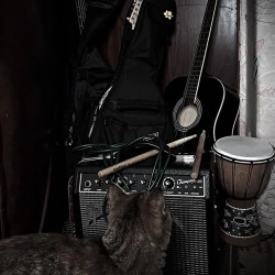 Halftailor - Горе-музикант 2