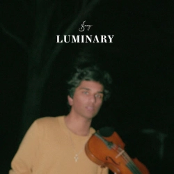 Joel Sunny - Luminary