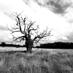 Jonny Boy - Dakota (Trance edit)