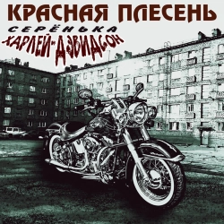 Krasnaya Plesen - С пацанами на бокс