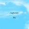 Ladynsax - Sky