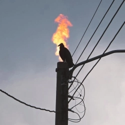 Maritococo & Moomietroll & Gax Win - Searching for light