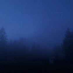 my head is empty - perpetual