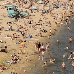 Нікіта Кісельов - Чайка