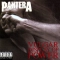 Pantera - Hollow