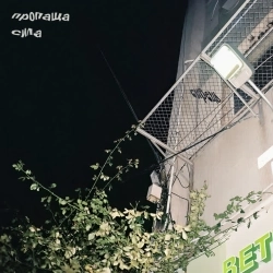 пропаща сила - сирець