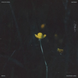 просто Лера - Лютики - Remix