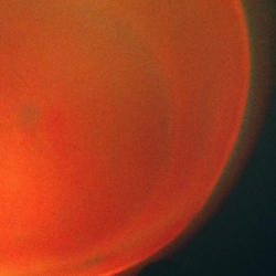 ripcity - сонце