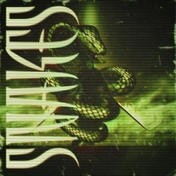 ROONIN - SNAKES