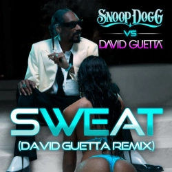 Snoop Dogg & David Guetta - Sweat - Snoop Dogg vs David Guetta Extended Remix