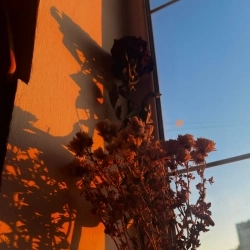 strangertaras - Ласкаво