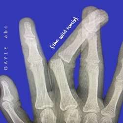 The Wild & GAYLE - abc (The Wild Remix)