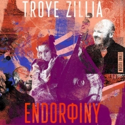 Troye Zillia - Pid Dubynoju