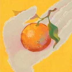 Зіниця горіха - Мандринка